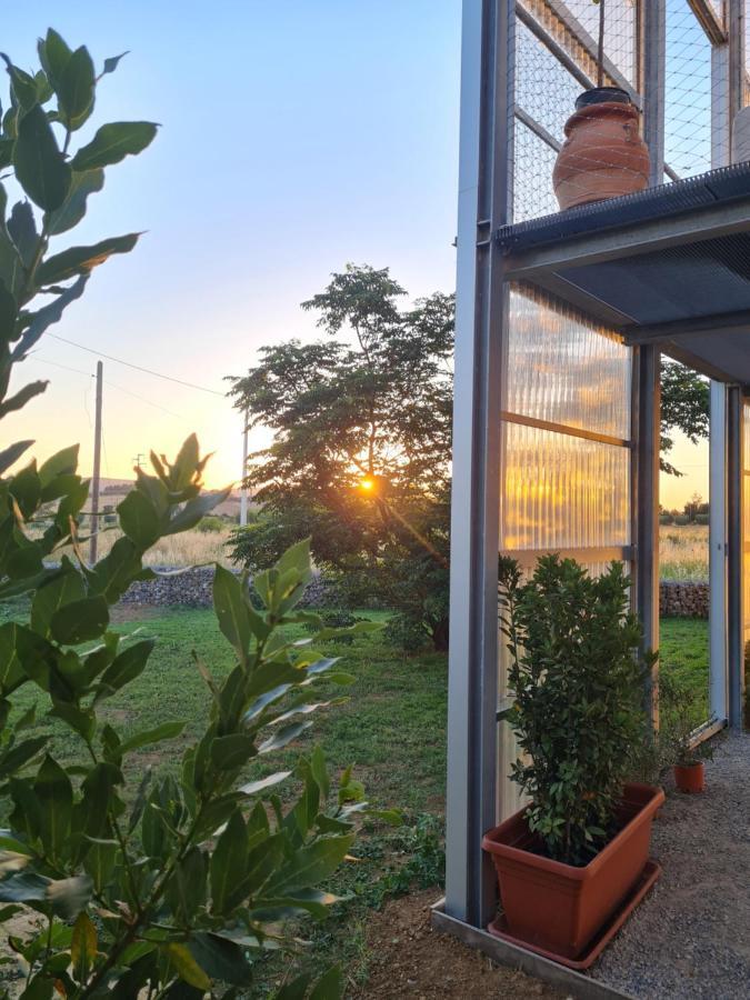 Anonima Agricola Vila Orbetello Exterior foto