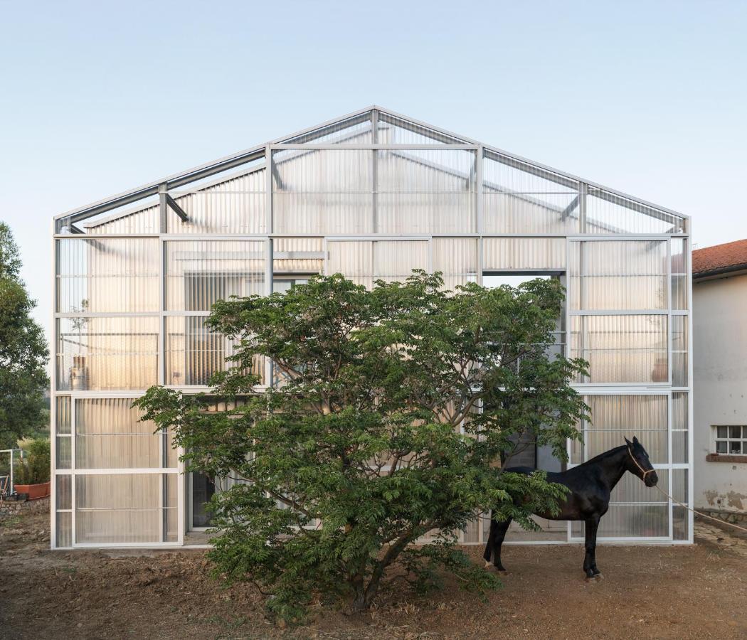 Anonima Agricola Vila Orbetello Exterior foto